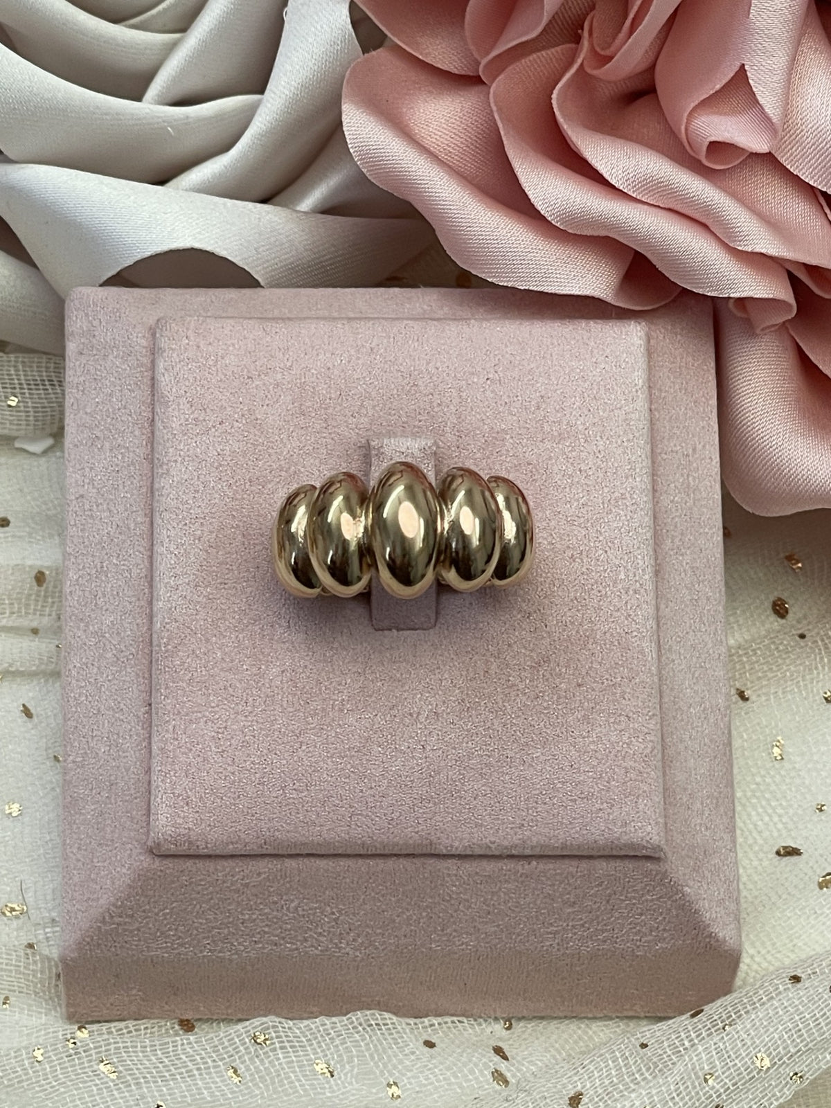Anillo Duna